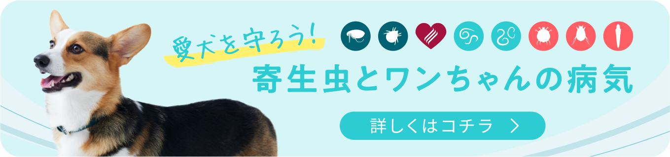 飼い主さま向け情報サイト