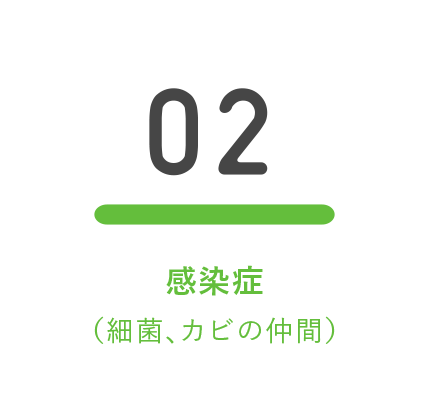 02. 感染症（細菌、カビの仲間）