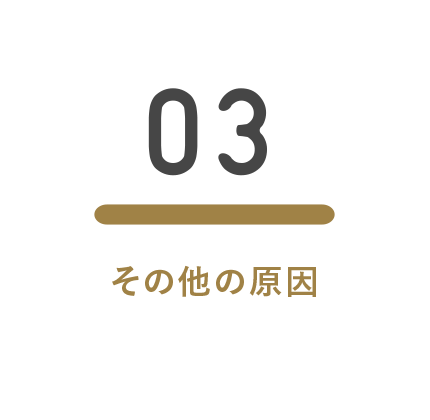 03. その他の原因